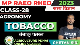 Class-28 | Tobacco | तम्बाकू | MP RAEO PHEO SADO | Field crops | By Chetan Sir