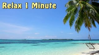 Relax 1 min - Tropical Beach Relaxing Music