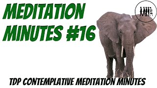 🧘 Mindfulness Meditation Minutes #16 🙏 Stay in the Silence - The Direct Path to Self