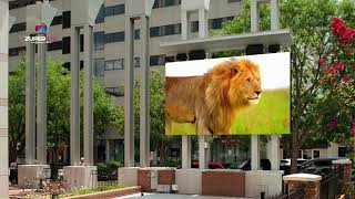 Active LED Video Wall #leddisplay #activeledvideowall #outdoorledscreens #indoorleddisplay