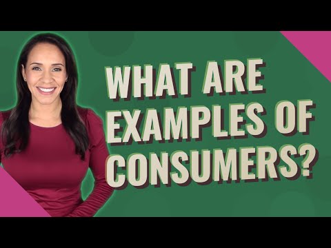 What are 2 examples of consumers?