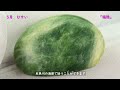 鉱物の部屋 ⑥誕生石の宝石鉱物