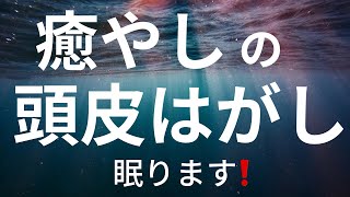 【癒しと眠りの頭皮マッサージ】😴美容室だからこその技術で😴観ているだけで眠くなります🌈美容室の仕事🌈