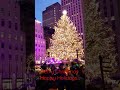 Wonderful Time of the Year NYC 2022  Rockefeller Center Christmas Tree #Shorts