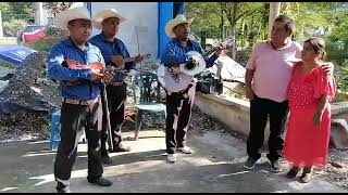 El Querreque con versos improvisados,Trio Herencia Huasteca del Totonacapan.