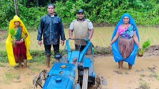 कोकणातील पारंपरीक पण सुधारीत भात लावणी । भाताच्या रोपांची लावणी । Rice farming in Konkan