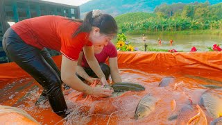 Use Truck as Fish Tank - Harvesting A Lot Of Fish To Sell To Villagers | Đao Daily Farm