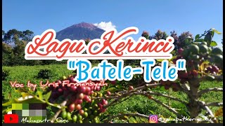 Lagu Kerinci | Batele-Tele | Voc by Uris Firmansyah (versi lirik)