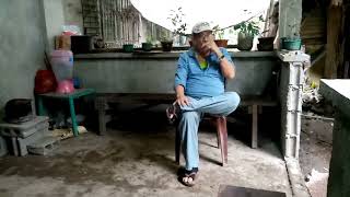 Harmonica player in Iraya san francisco bulusan😊