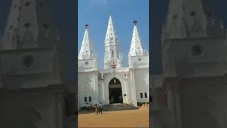 Poondi matha....basilica ave maria....