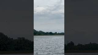 Lake + birds❤️    #kadayam #tenkasi #lake #lakeview #birds #mountains #nature #viralvideo #shorts