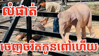 លំផាត់ ថ្ងៃនេះលេងចរិកកូនពៅហើយ