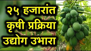 25 हजारांत सुरू करा कृषिप्रक्रिया उद्योग | डॉ. भगवान साखळे | ...तर शेतकरी मालामाल | Shivar News 24