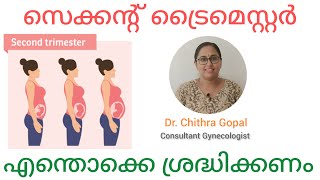 Second trimester of pregnancy in malayalam / 13 to 28 week  of pregnancy #drchithra