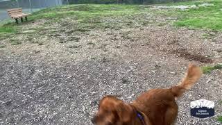 Explore McCormick Episode 8: Dog Park Tour