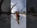 eugh eugh ☃️ goldenretriever dogsofyoutube doggo