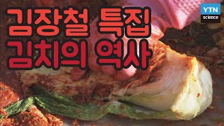 [핫클립] 우리는 대체 언제부터 김치를 먹기 시작했을까? / YTN 사이언스