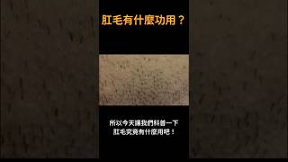 可愛的科普貓 竟然科普肛毛的功用！？#科普 #科普新時代 #科普知识 #知識 #肛毛 #人體