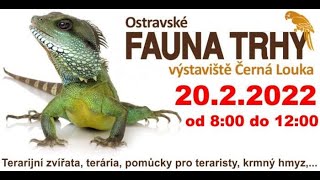 Fauna trhy Ostrava 20. 2. 2022