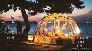 Beautiful sunset camping / Healing capsule by the sea / Happy dog