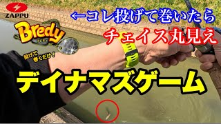 【ナマズ釣り】埼玉県内の水路でブレディ投げたらナマズのチェイス丸見えだった‼️BLAZON MB×ALPHASswtw