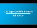 Zoologist and Wildlife Biologist | What I do