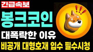 [봉크코인] BONK - 긴급속보! 대폭락한 이유 비공개 대형호재 입수 필수시청 코미녀tv