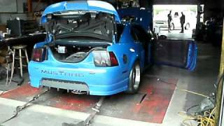 Procharged Cammed Mach 1 Mustang Dyno Tuning