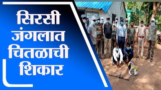 Chandrapur | राजुरा तालुक्यातील सिरसी जंगलात चितळाची शिकार, आरोपी फरार - tv9