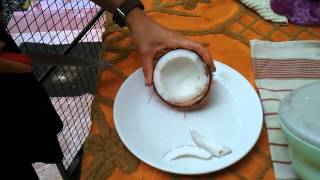 Grating fresh coconut demo