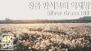 [정읍시] 정읍 만석보터 억새밭 | 가을 명소 | 노을 명소 | 힐링 명소 | 자연영상 | Silver Grass Hill