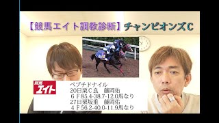 【競馬エイト調教診断】チャンピオンズＣ（坂本和\u0026籔本）