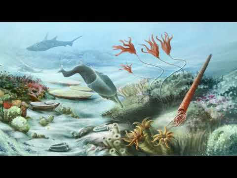 When did the Paleozoic era start and end?