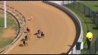 Cannington-16052016-Race-2