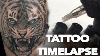 TATTOO TIMELAPSE | TIGER PORTRAIT | CHRISSY LEE