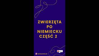 Zwierzęta po niemiecku Niemiecki od podstaw A1 #shorts