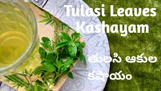 Tulasi Leaves Kashayam in telugu # తులసి ఆకుల కషాయం