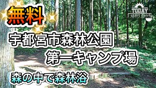 【栃木】完全無料！ダムの周辺で森林浴！宇都宮市森林公園キャンプ場　栃木　茨城　関東　無料\u0026格安キャンプ場