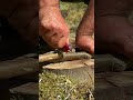 survival skills reliable pot holder in the wilderness. survival camping lifehacks