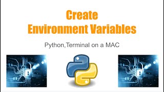 Python: Environment Variables