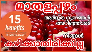 മാതളപ്പഴത്തിന്റെ15 ഗുണങ്ങൾ/15 health benefits of Pomegranate/ഇവ അറിഞ്ഞാൽ നിങ്ങൾ കഴിക്കാതിരിക്കില്ല❗