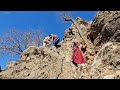 🏔️🌲 collecting firewood in the zagros mountains by a nomadic family for winter ❄️🔥