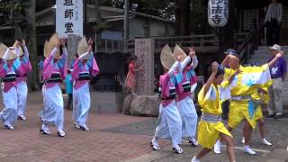 東京高円寺阿波踊り／菊水連⑤ （エンディング）／第6回 妙法寺夏のふれあい祭り2014