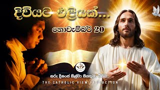 Sinhala Reflection | Daily Reflection 20th November | Rev. Fr. Dinanja Silva | The Catholic View