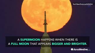 Don't miss the rare blue blood supermoon eclipse