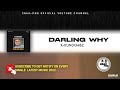 DARLING WHY - K-Kundumbz (PNG LATEST MUSIC)2022