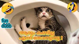 കുറച്ചു privacy താടാ/Animal's FUN dubb malayalam comedy troll funny/A_A CREATIONZ/shorts