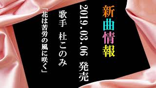 花は苦労の風に咲く　2019. 3.6　新曲発売　杜このみ