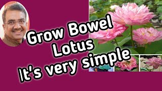 How To Grow Bowel Lotus(Amery Peony)