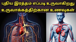 மனித உடலில் புதிய இரத்தம் எப்படி உருவாகிறது | Foods for increase your blood @HealthTips24Tamil